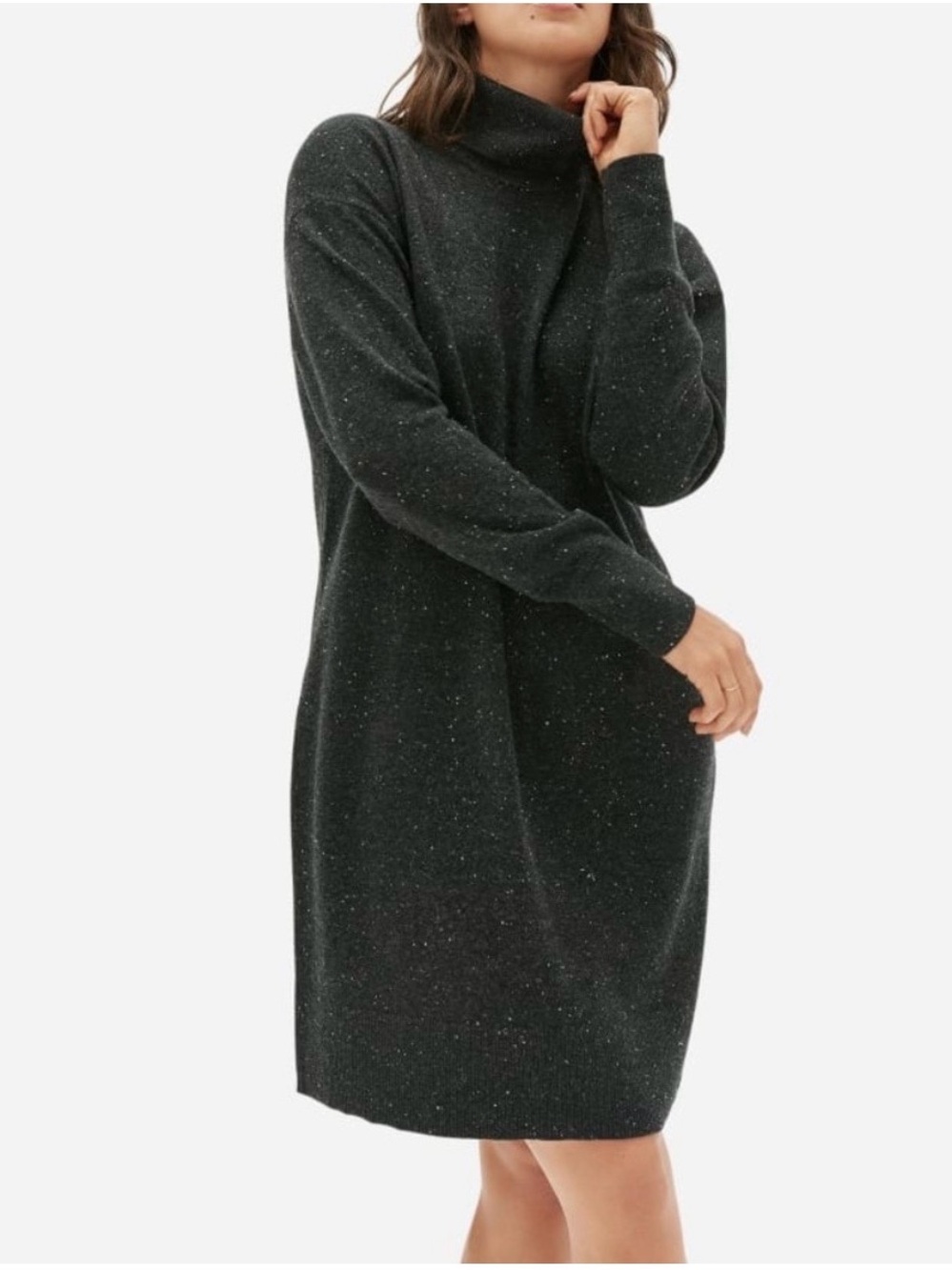 NWT Everlane Wool Charcoal Knit Turtleneck Sweater dress. Size XS.